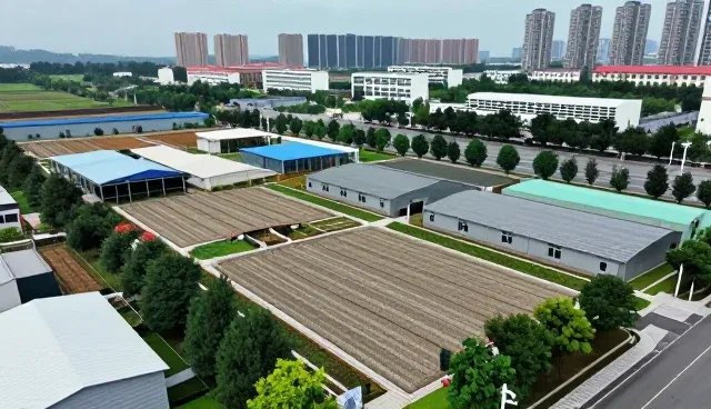 市政绿化工程中常见问题的应对策略