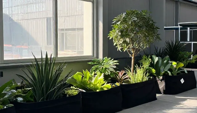 独立网站的建设，庭院造景如何融入适用条件